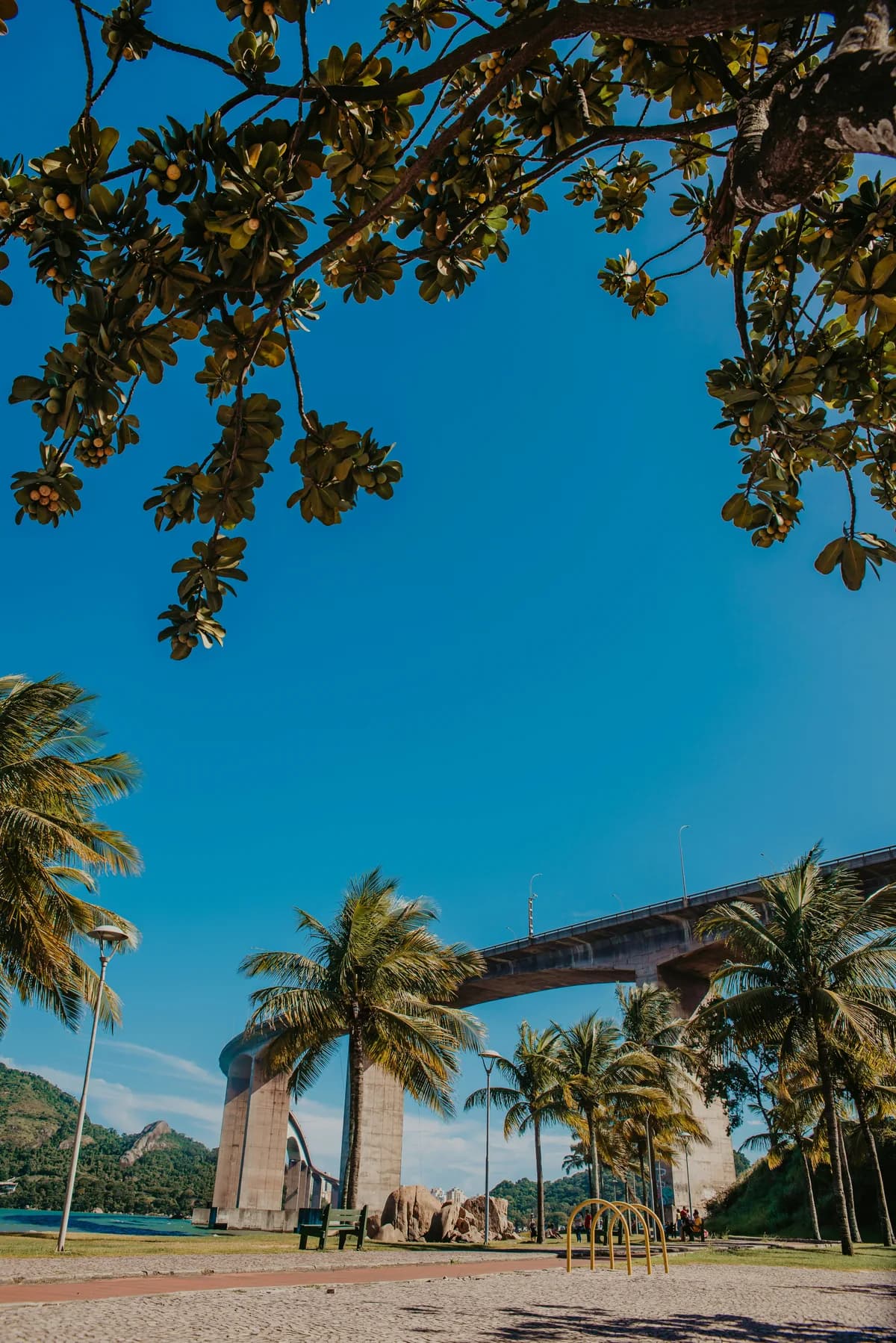 Unidade Vitória